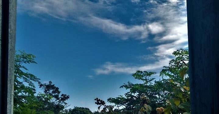 “No quintal da minha casa tem cultura alimentar! Fortalecendo a segurança e soberania alimentar da família!”, conta Itanael da Silva Rodrigues, 18 anos, no Município de Graça (Foto: Arquivo Pessoal)