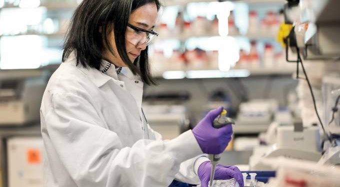 (Foto: David L. Ryan/The Boston Globe/Getty Images)