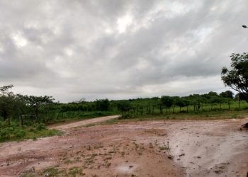 (Foto: Siqueira Caraúno/Arquivo pessoal)