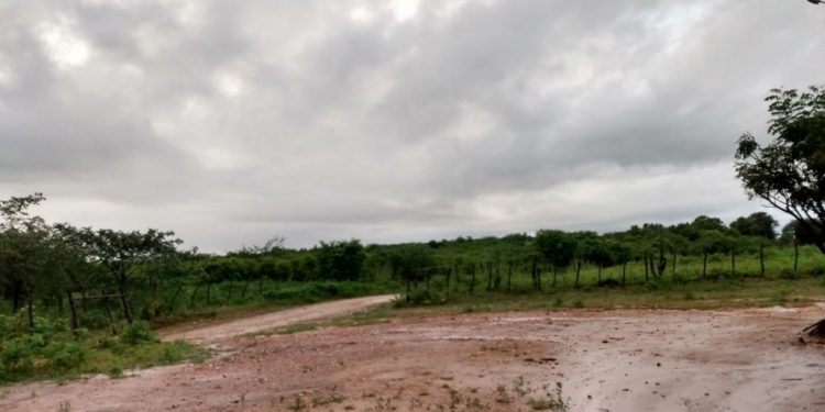 Áreas com seca diminuem no Ceará em abril, aponta estudo do Monitor de Secas