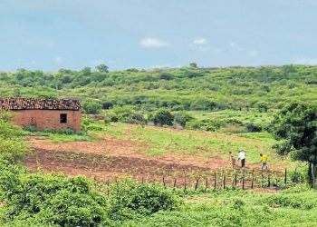 (Foto: Marciel Bezerra)