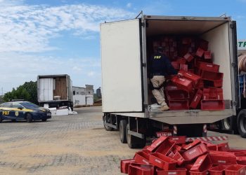Cigarros estavam acondicionada em meio a caixas de plástico e isopor (Foto: PRF/Divulgação)