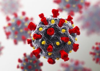 OMS: Epidemia ainda é ‘severa’ no Brasil, mas há sinais de estabilização