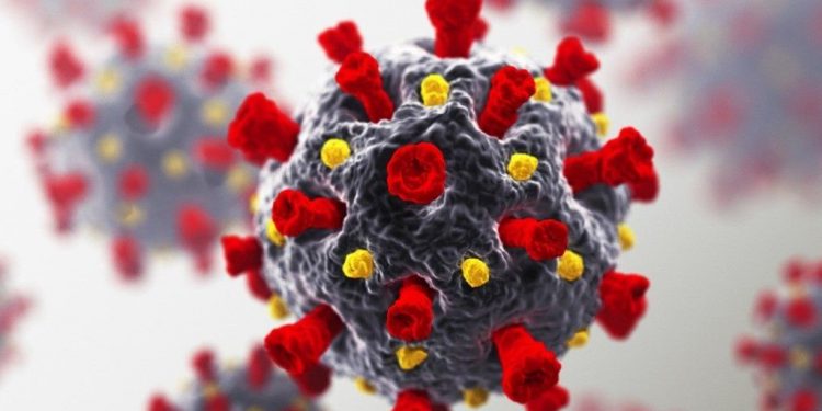 OMS: Epidemia ainda é ‘severa’ no Brasil, mas há sinais de estabilização