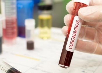 Número de casos confirmados de Covid-19 ultrapassa 10 milhões no mundo