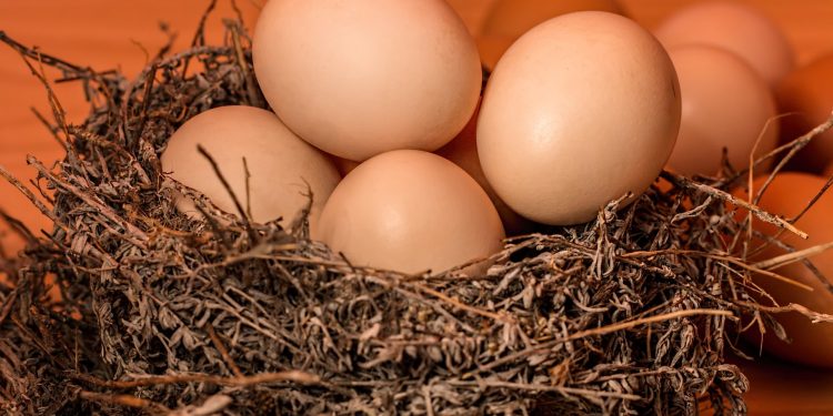 9 fatos que você deve saber sobre os ovos