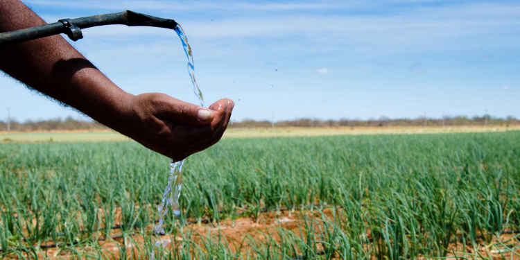 Projeto Paulo Freire investe R$ 7,9 milhões na implantação de 2.499 sistemas de reuso d´água