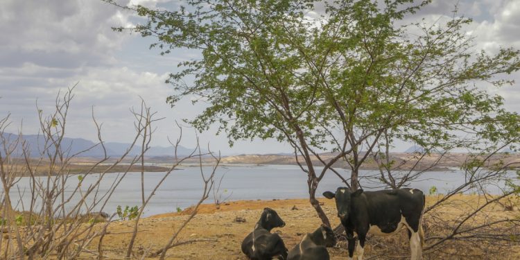 Ceará tem maior redução de áreas de seca dos últimos seis anos