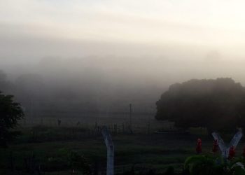 No Interior do Estado, em manhãs mais frias, a nevoa tem encoberto a paisagem