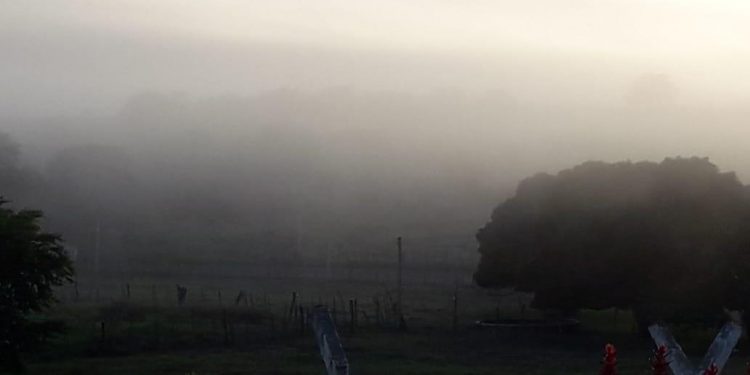 Início do inverno no Hemisfério Sul traz temperaturas mais amenas ao Ceará
