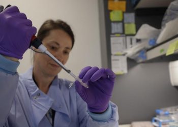 OMS paralisa testes com dois remédios usados contra a Covid-19