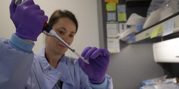 OMS paralisa testes com dois remédios usados contra a Covid-19