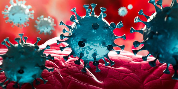 Novo coronavírus se camufla para enganar células durante invasão, aponta estudo
