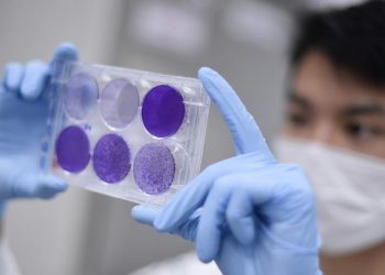 Rússia promete começar a distribuir vacina contra Covid-19 no mês que vem