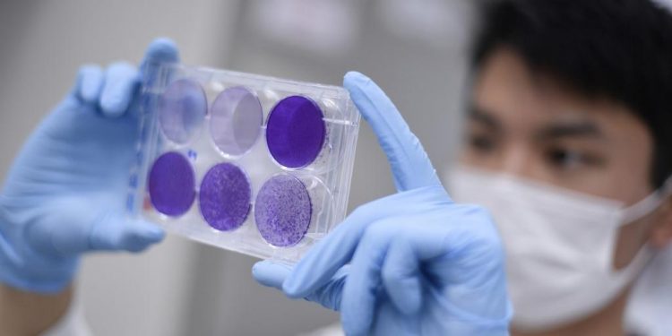 Rússia promete começar a distribuir vacina contra Covid-19 no mês que vem