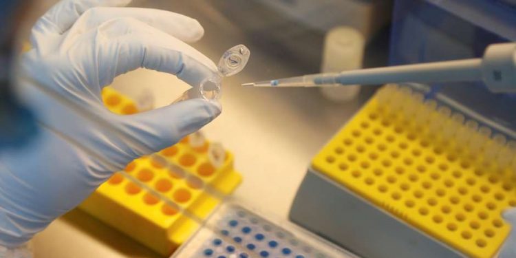 Covid-19: Vacinas chegam neste sábado ao Brasil para início de testes