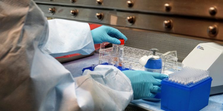 Brasil registra 1.367 mortes por Covid-19 em 24 h no pior dia em 4 semanas