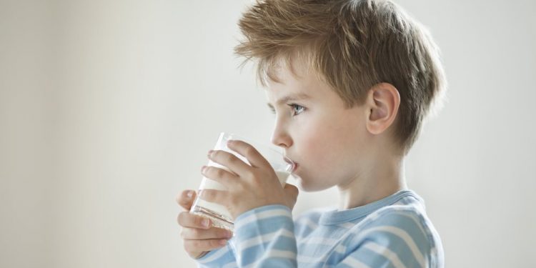 Programa do Leite já distribui 27 mil litros diários em 117 municípios