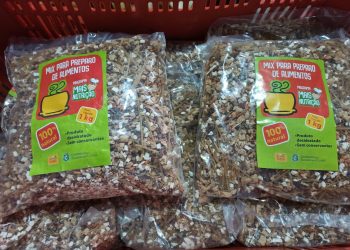 (Foto: Governo do Ceará)