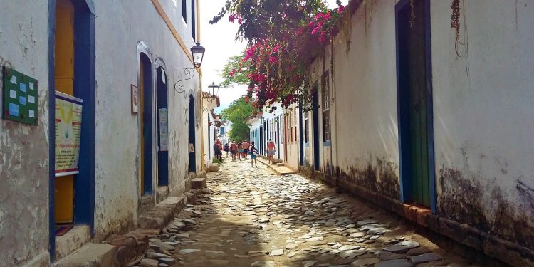 O trono das flores – Por Alexandre Lucas