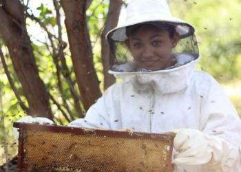 (Foto: André Gurjão/Governo do Ceará)