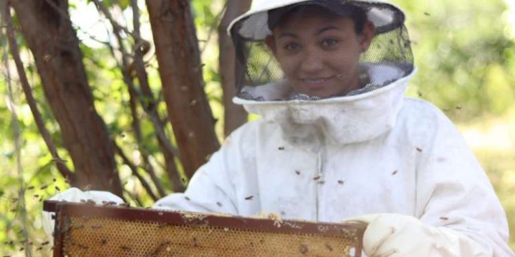 Em Tabuleiro do Norte, Ematerce aposta em experiência colaborativa na produção de mel