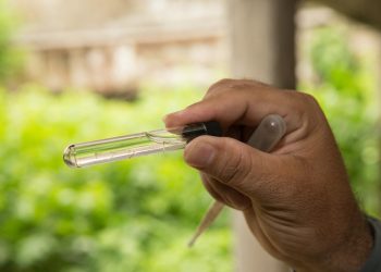 (Foto: Fabiane de Paula)