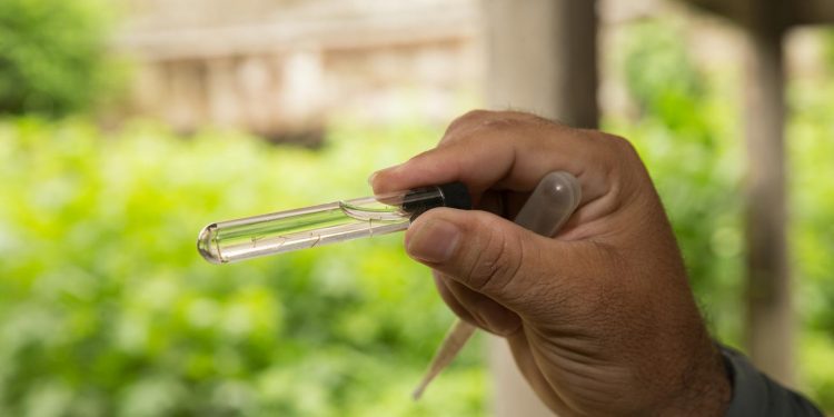 Crato é a cidade do Cariri com mais casos de dengue, com 1.107 ocorrências apenas neste ano