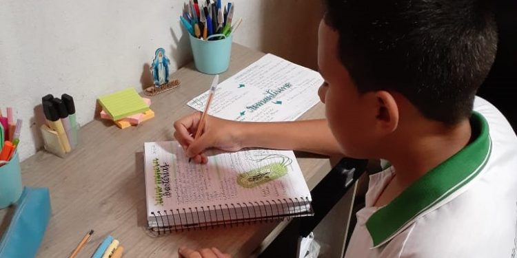 Segundo semestre letivo de 2020 é aberto na rede pública estadual de forma remota