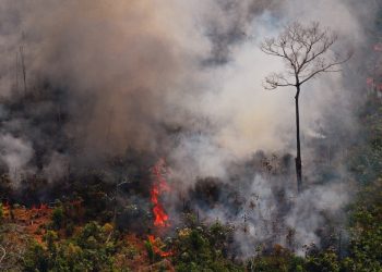 Focos de incêndio em agosto batem recorde para o mês em 22 anos