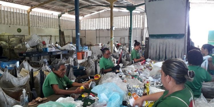 Governo do Ceará publica edital com regras para solicitar o auxílio catador