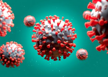 Pandemia deve acabar em “menos de dois anos”, prevê OMS