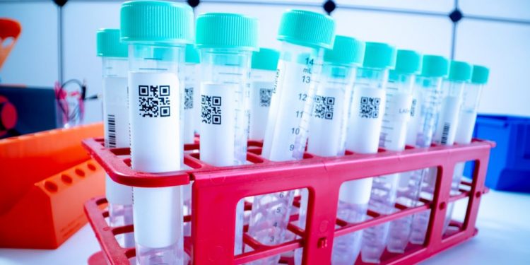 Ceará registra 195.298 casos confirmados de Covid-19