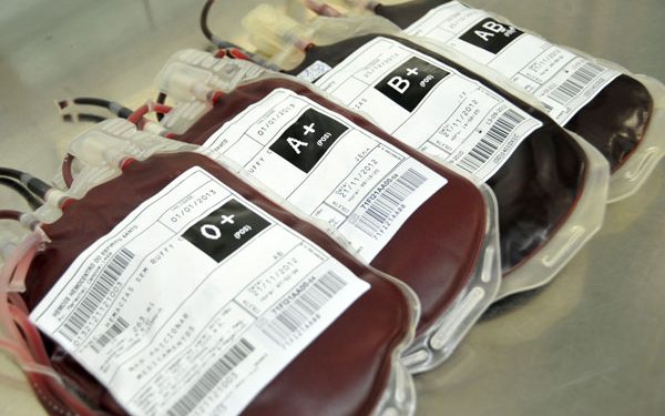 Hemoce implanta política de captação de doadores visando reforçar a importância da doação de sangue voluntária