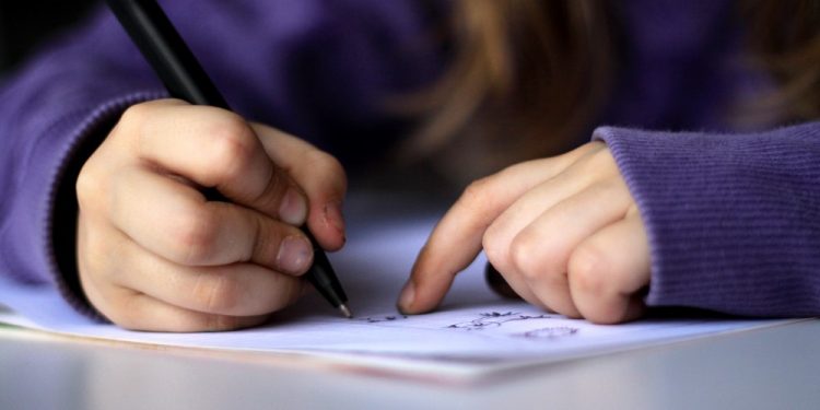 Centec oferece 600 vagas em cursos técnicos e superiores gratuitos