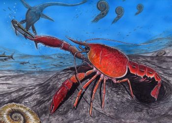 Estima-se que o animal viveu no Período Cretáceo, durante o Campaniano, há cerca de 75 milhões de anos (Foto: Divulgação)