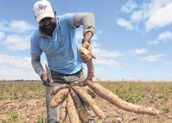 (Foto: Antonio Rodrigues)