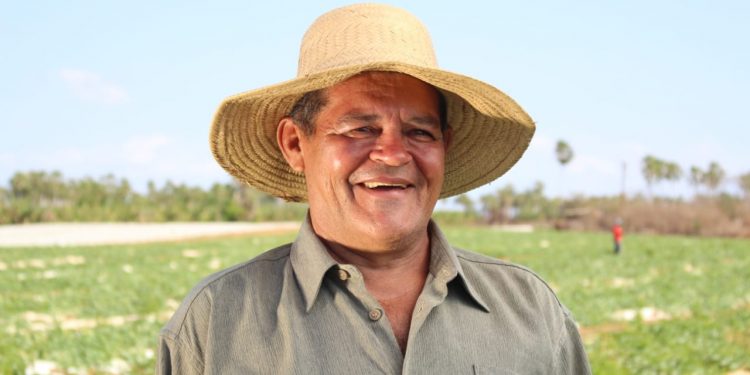 Prorrogado prazo para regularização da Declaração de Aptidão ao Pronaf