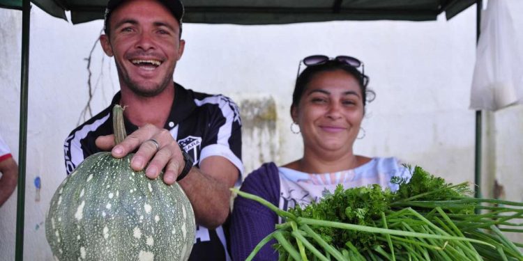 Ceará garante R$ 14 milhões para investimento na agricultura familiar até 2021