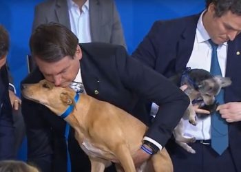 Bolsonaro sanciona lei com pena maior, de até cinco anos, para maus-tratos contra cães ou gatos (Foto: Reprodução/TV Brasil)