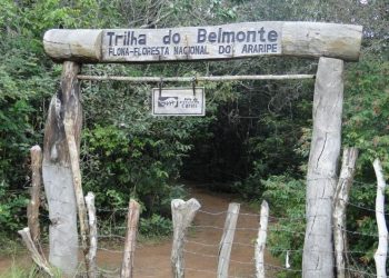 Floresta do Araripe é cenário de assaltos, visitas irregulares e extração ilegal de madeira