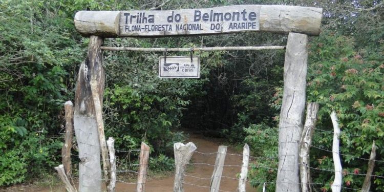 Floresta do Araripe é cenário de assaltos, visitas irregulares e extração ilegal de madeira
