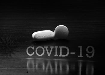 Ceará supera 229 mil casos confirmados de Covid-19 e tem 8.749 mortes pela doença