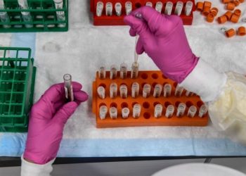 Ceará ultrapassa 237 mil casos confirmados de Covid-19 e tem mais de 210 mil pessoas recuperadas