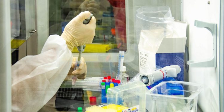 Ceará ultrapassa 220 mil casos confirmados de Covid-19 e registra 8.532 mortes pela doença