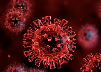 Com 983 mortos, Brasil registra 129 mil mortes por Covid-19