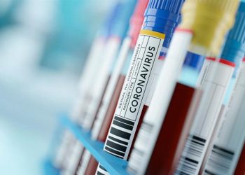 Ceará registra mais de 237 mil casos de Covid-19 com 8.905 óbitos pela doença