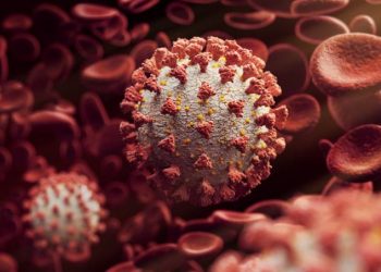 Ceará passa de 230 mil casos confirmados de Covid-19