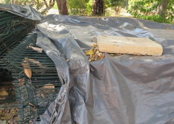 Das obras com recurso federal, já foram executadas 57%, enquanto do estado chega a 80 (Foto: Antonio Rodrigues)