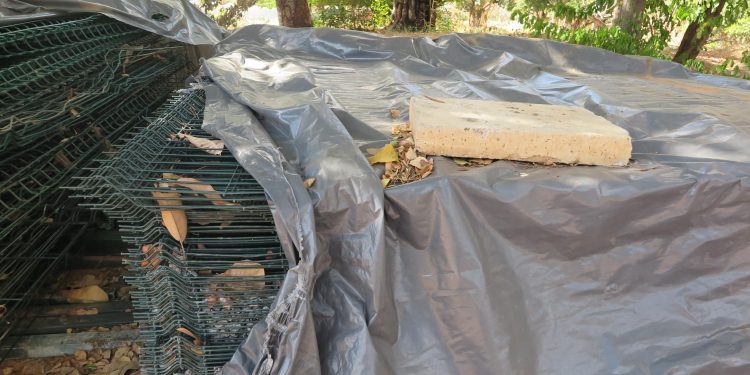 Obra de revitalização do Parque Municipal das Timbaúbas, em Juazeiro do Norte, se arrasta há 2 anos